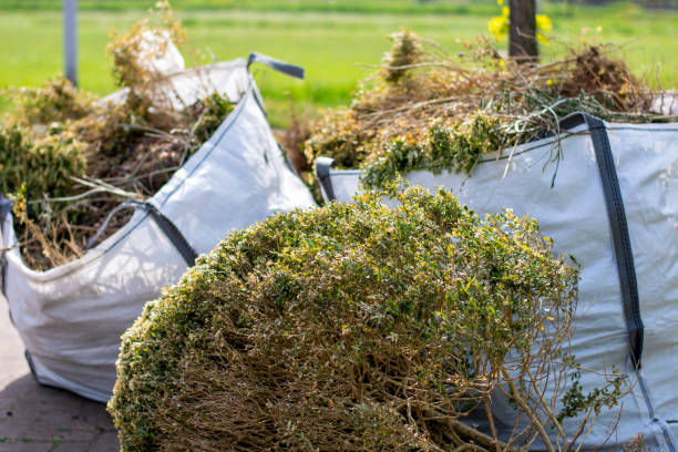 Best Professional Junk Removal  in Alanes Ridge, CA